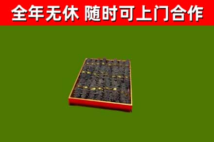 珠海烟酒回收海参.jpg
